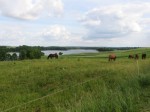 Widok na Buwełno z drogi dojazdowej